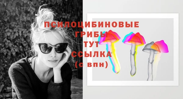 гашик Арсеньев