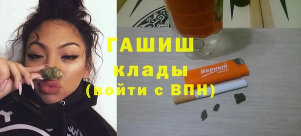 крисы Корсаков