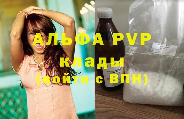 гашик Арсеньев