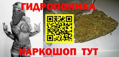 спиды Краснознаменск