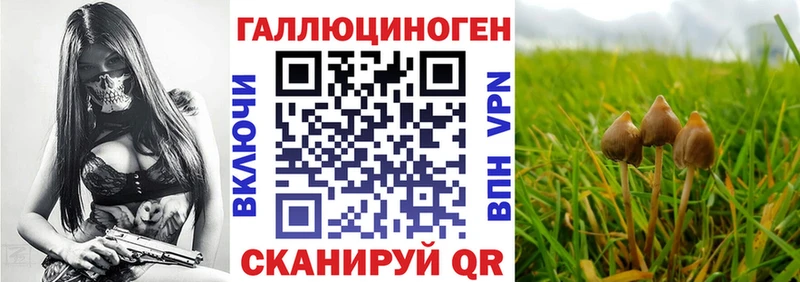 купить   darknet наркотические препараты  Псилоцибиновые грибы MAGIC MUSHROOMS  Мытищи 